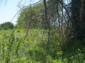 ocean side land for sale by owner