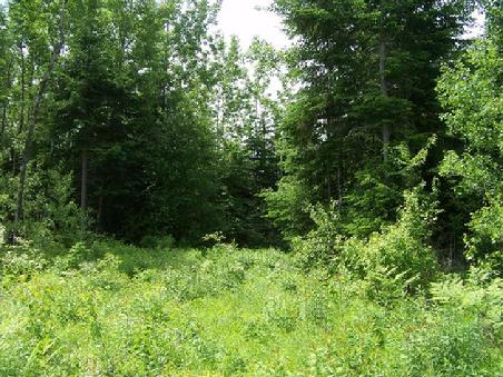 MAINE NEW BRUNSWICK BORDER